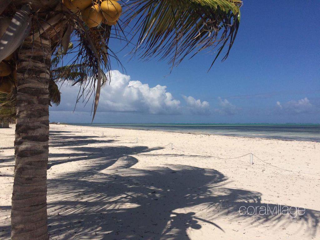 Coral Village Malindi Ngoại thất bức ảnh